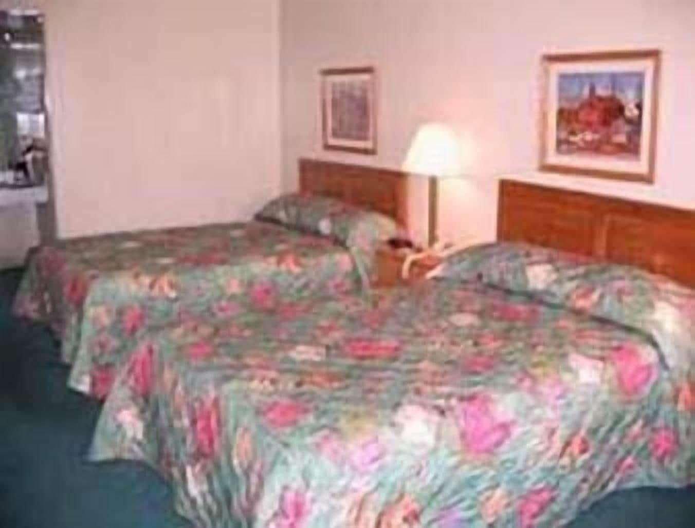 Days Inn By Wyndham New Philadelphia Pokoj fotografie